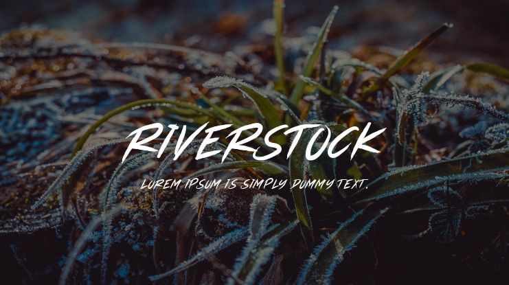 RIVERSTOCK Font