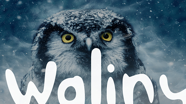 Waliny Font