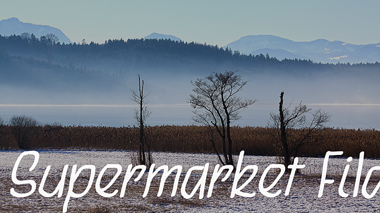 Supermarket Fila Font