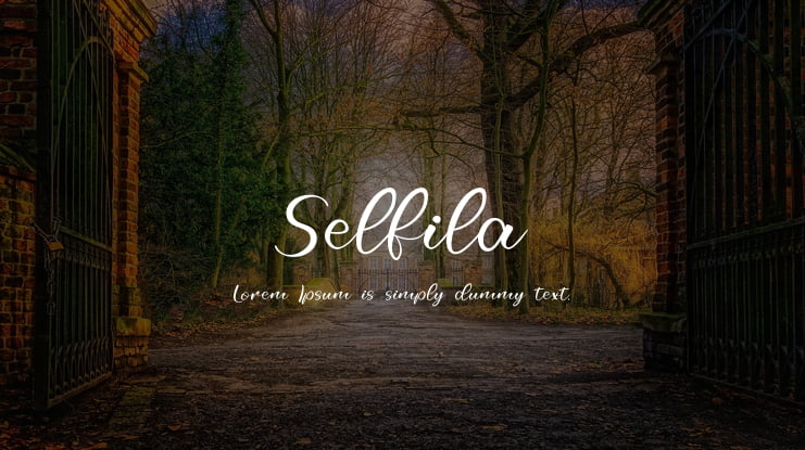 Selfila Font