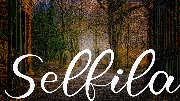 Selfila Font