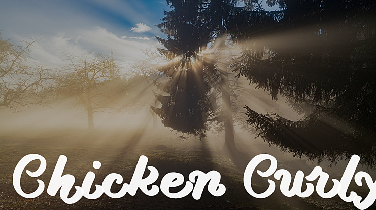 Chicken Curly Font