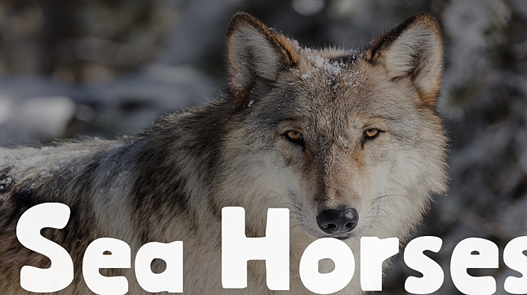 Sea Horses Font