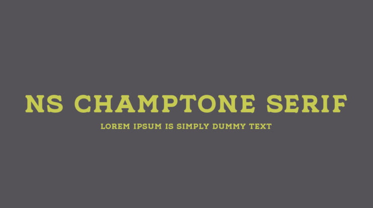 NS Champtone Serif Font