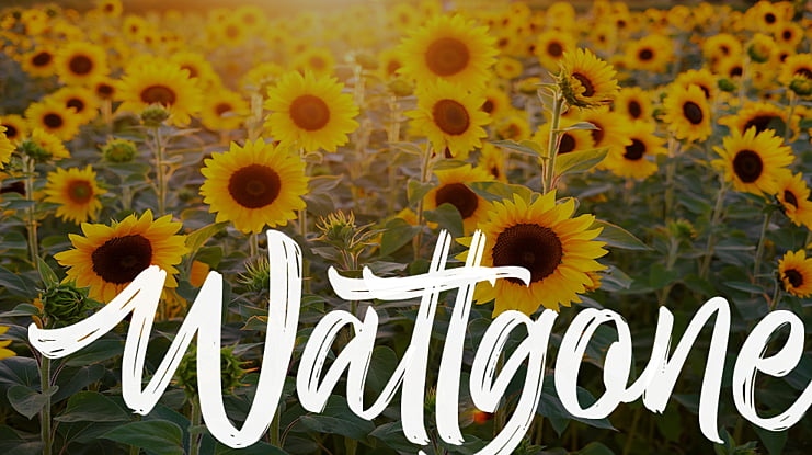 Wattgone Font