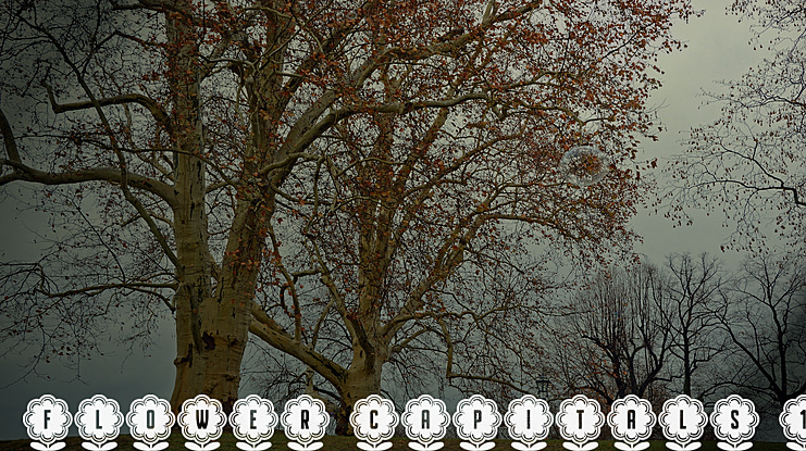 Flower Capitals 1 Font Family