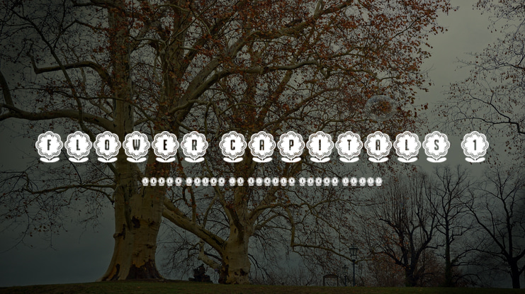 Flower Capitals 1 Font Family
