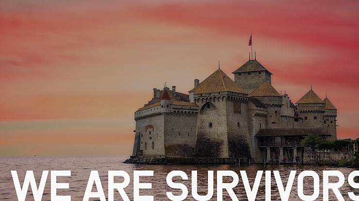 We Are Survivors Font