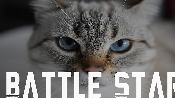 Battle Star Font Family