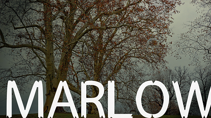 MARLOW Font