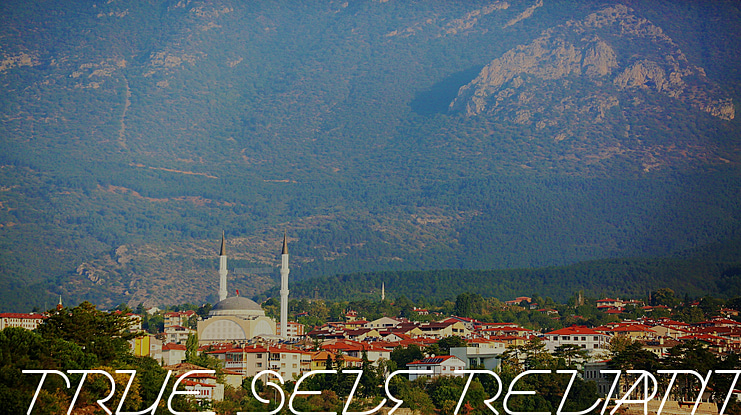 TRUE SELF RELIANT Font Family