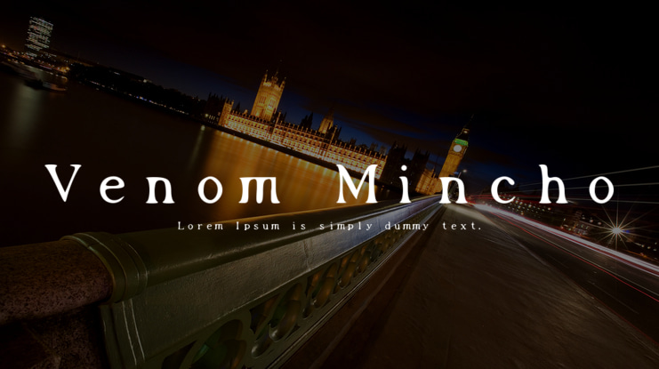 Venom Mincho Font