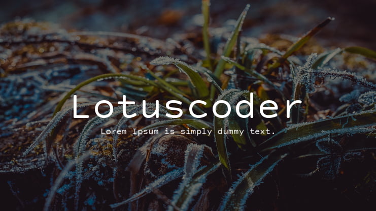 Lotuscoder Font Family