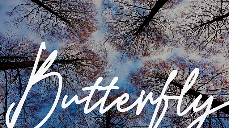 Butterfly Font