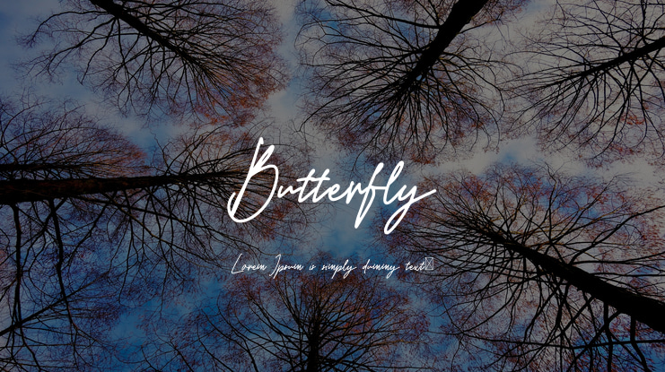 Butterfly Font
