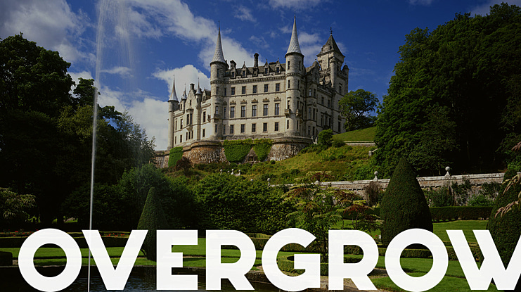 Overgrow Font