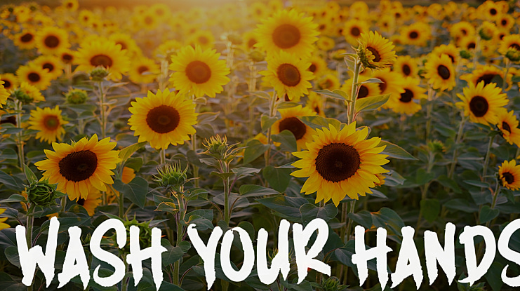 WASH YOUR HANDS Font