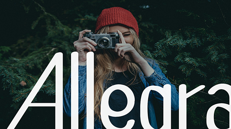 Allegra Font