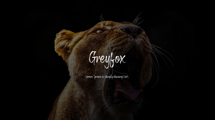 Greyfox Font