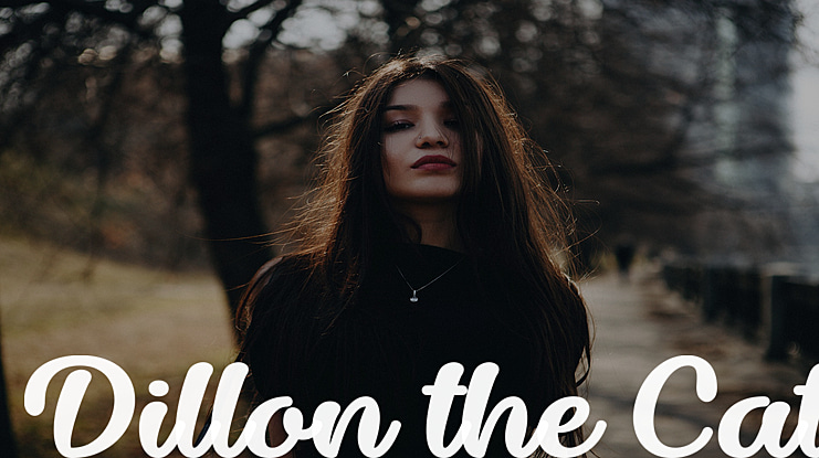 Dillon the Cat Font