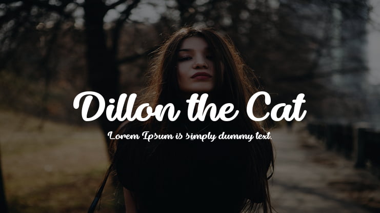 Dillon the Cat Font