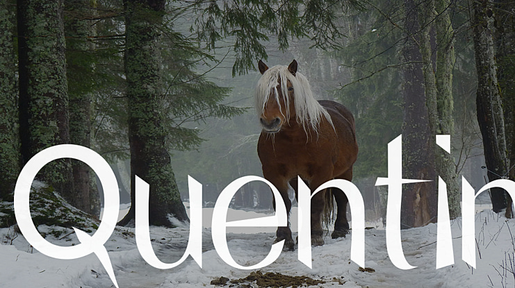 Quentin Font
