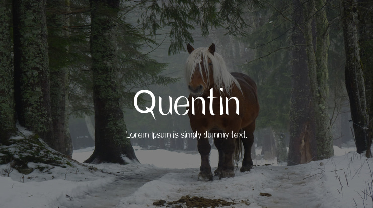 Quentin Font