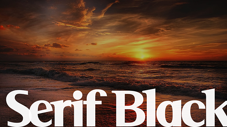 Serif Black Font Family