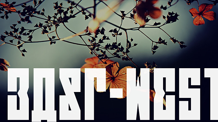 EAST-west Font Family