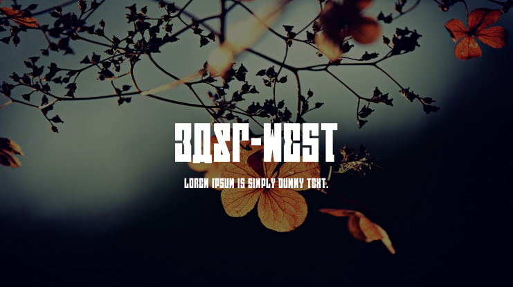 EAST-west Font Family