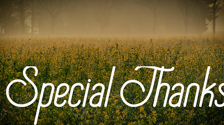 Special Thanks Font Family