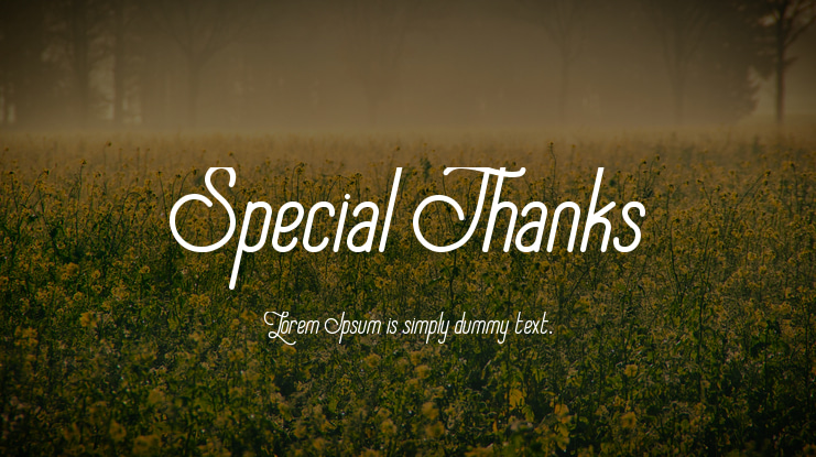 Special Thanks Font Family
