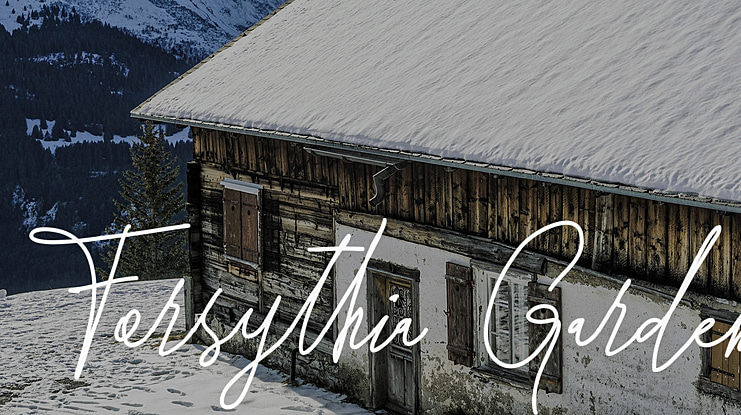 Forsythia Garden Font