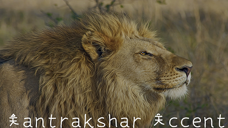 Mantrakshar Accents Font