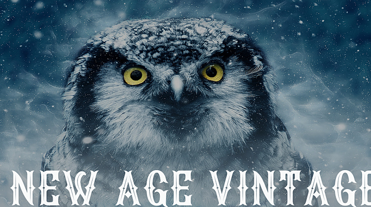 New Age Vintage Font Family