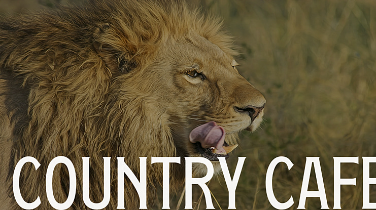 Country Cafe Font