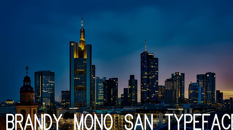 Brandy mono san typeface Font