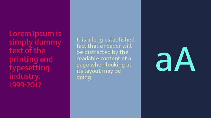 Seb Neue Font Family