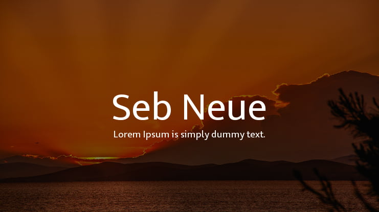 Seb Neue Font Family