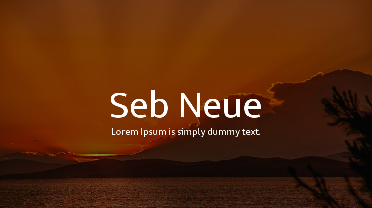 Seb Neue Font Family