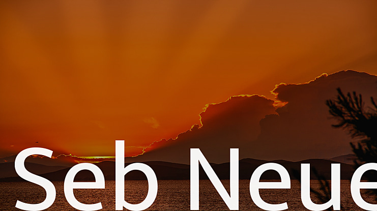 Seb Neue Font Family