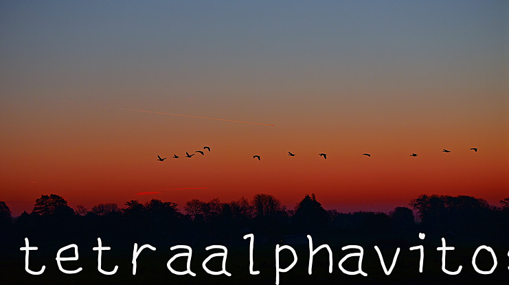 tetraalphavitos Font