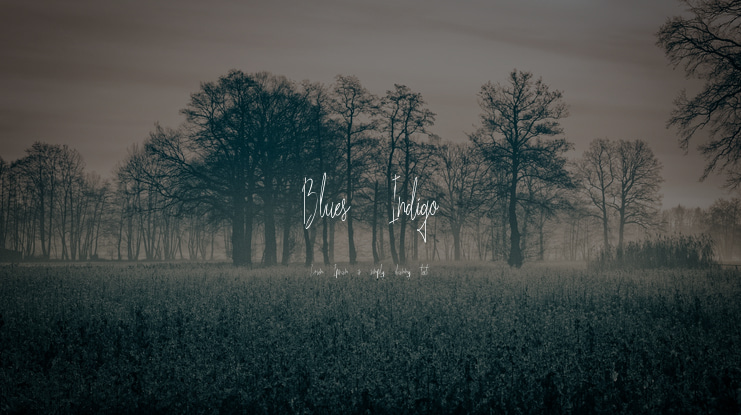 Blues Indigo Font