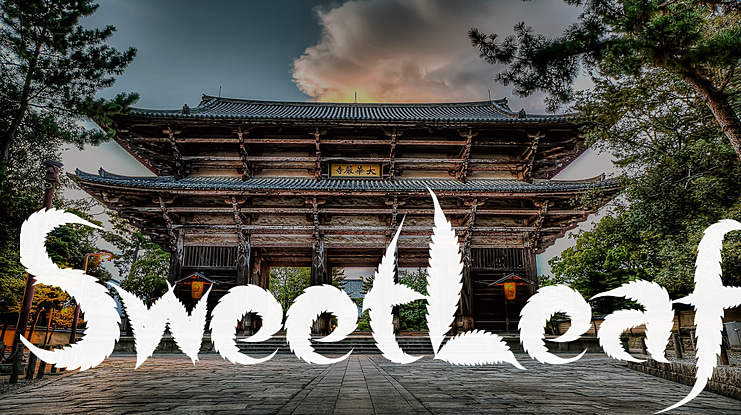 Sweet Leaf Font