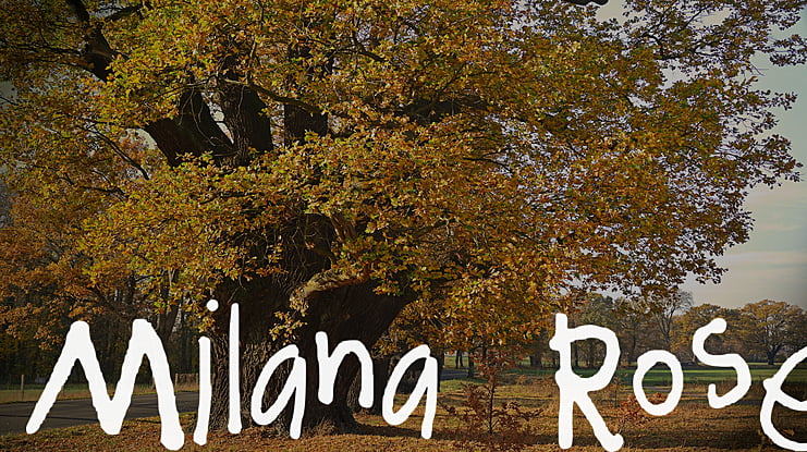Milana Rose Font