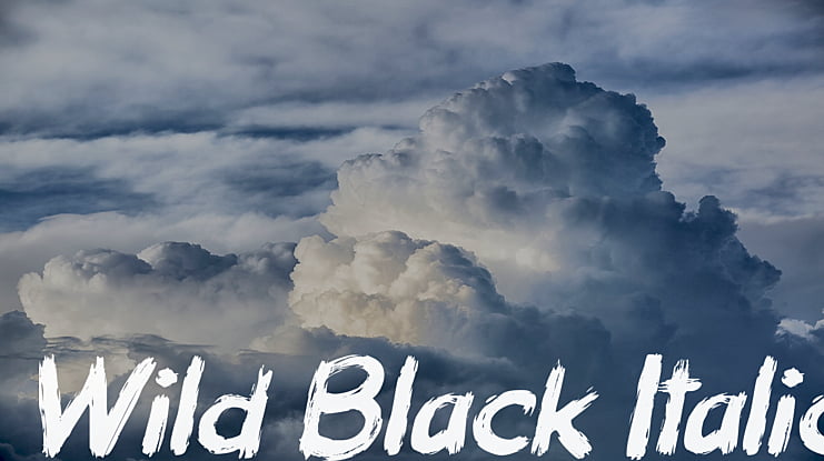 Wild Black Font