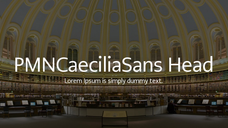 PMNCaeciliaSans Head Font Family