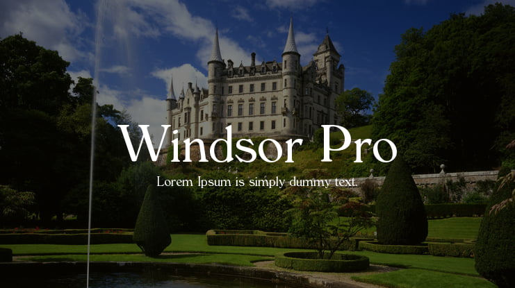 Windsor Pro Font Family