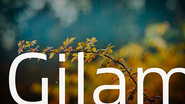 Gilam Font Family