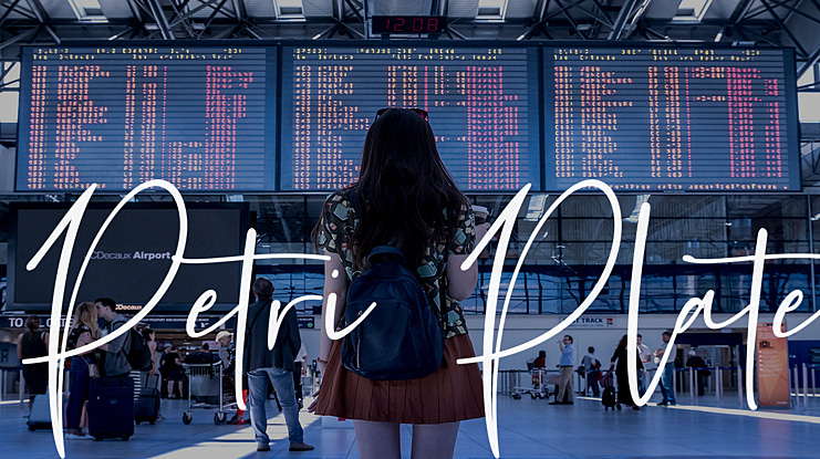 Petri Plate Font Family